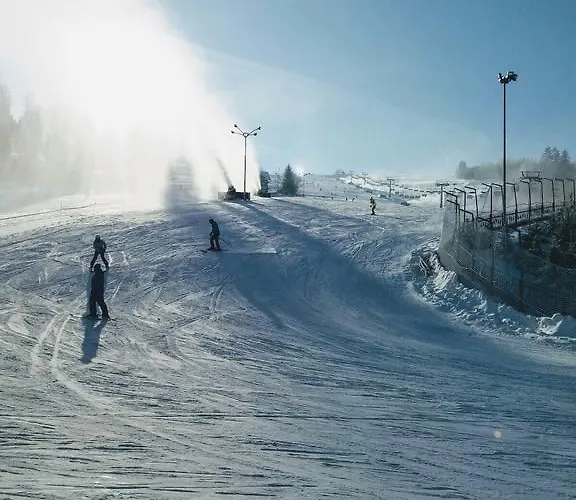 דירה W Istebnej איסטבנה